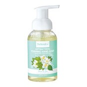 Wholesale - 8.75floz DEFENDR+ FRESH ANTIBACTERIAL FOAMING HAND SOAP C/P 8, UPC: 190430042043
